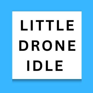 Little Drone Idle
