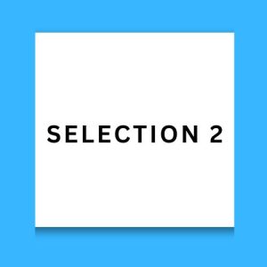 Selection 2