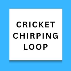 Cricket Chirping Loop
