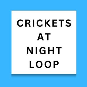 Crickets At Night Loop