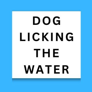 Dog Licking The Water