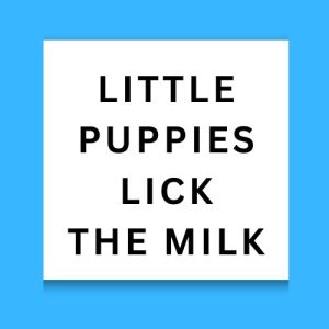 Little Puppies Lick The Milk