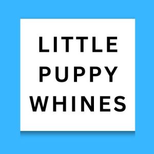 Little Puppy Whines
